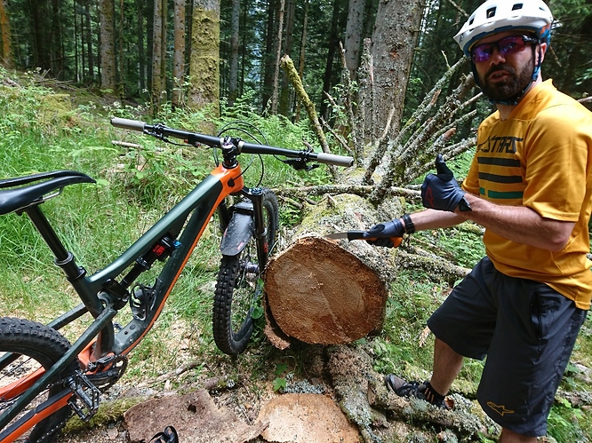 DSC_3105_copy_1305x979_1