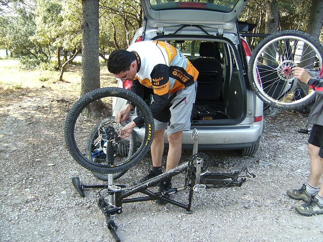 452530913_f67faf517b_o