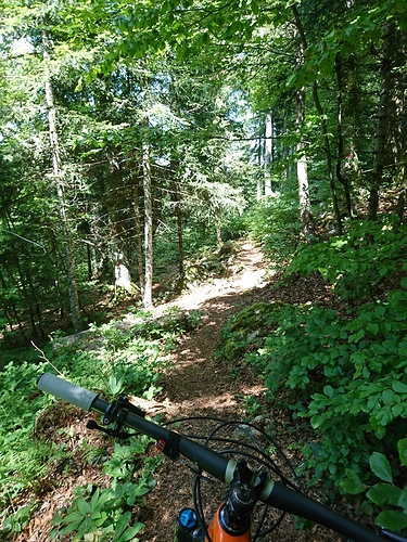 DSC_3065_copy_979x1305