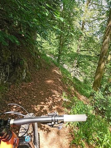 DSC_3104_copy_1305x1740