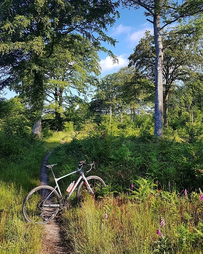 IMG_20200614_114251_117