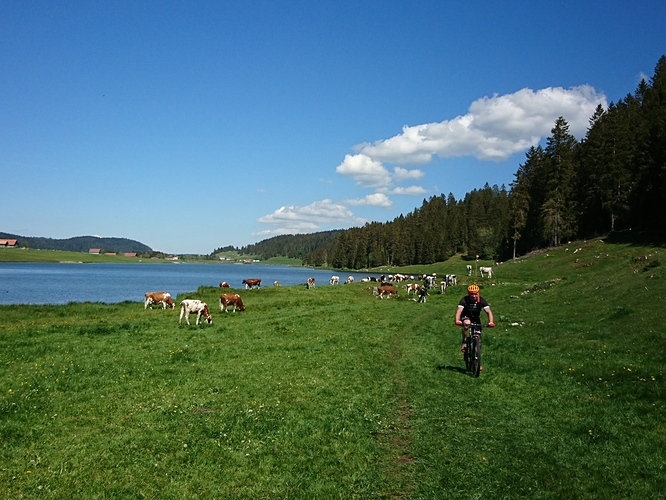 DSC_3080_copy_1632x1224