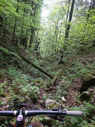 DSC_3068_copy_979x1305