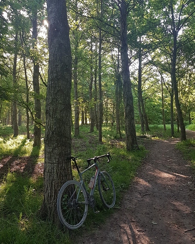 IMG_20200525_084648_651