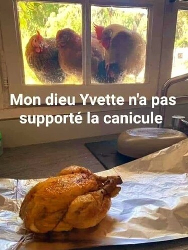 MicrosoftTeams-image (1)