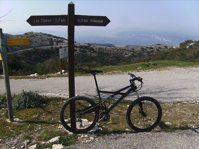 452516483_b6ca622b21_o