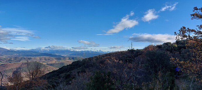 20241208_093615