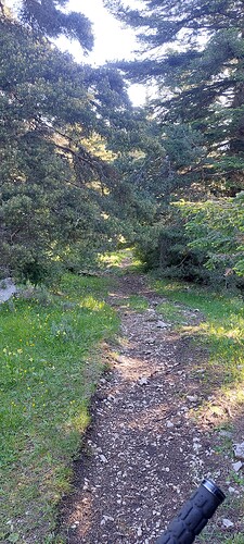 20250527_073231