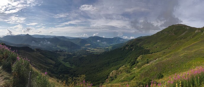 IMG_8753