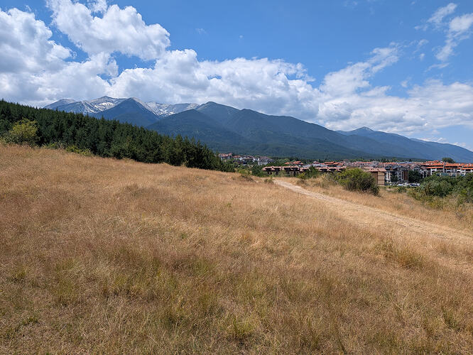 PXL_20260713_101751235