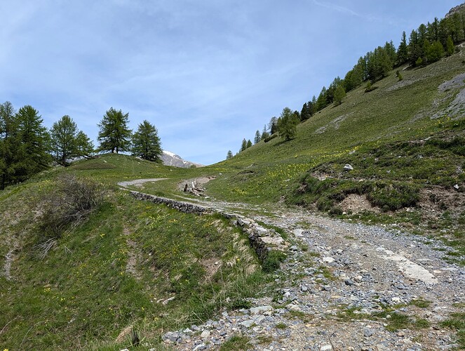 PXL_20250529_102535380