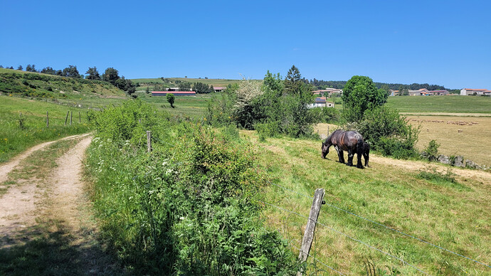20260529piste