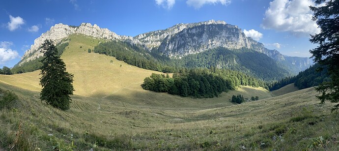 IMG_4645