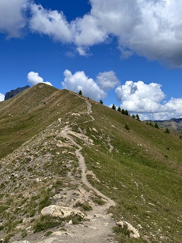 IMG_9231