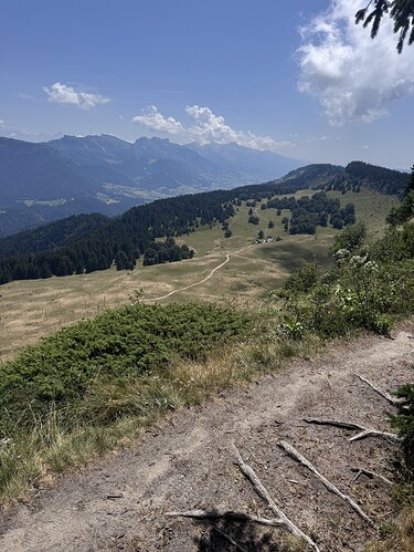 IMG_9128