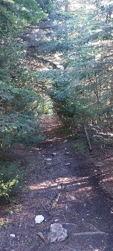 20250527_073541