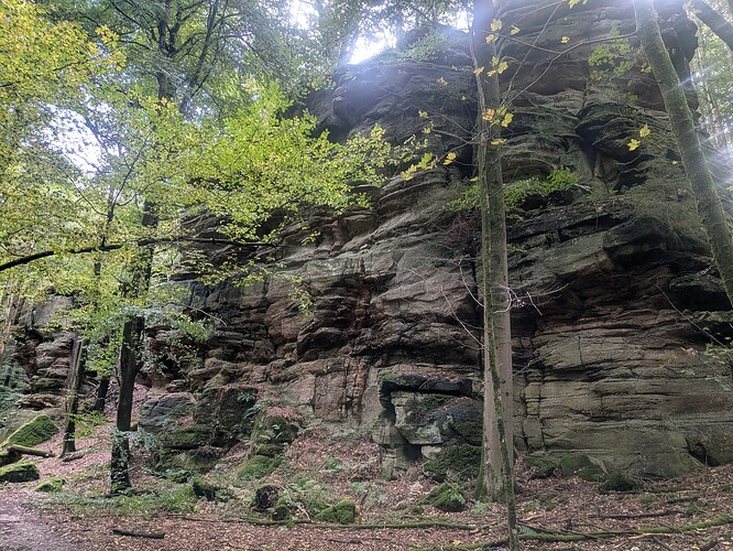 PXL_20251005_080856705