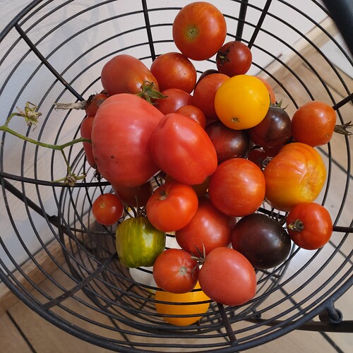 17612329854275846539714763784163