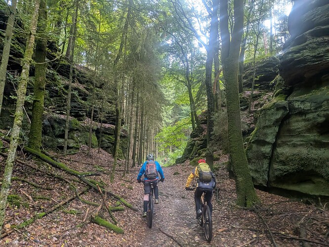 PXL_20251005_081329900