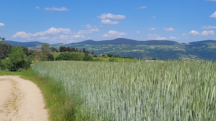 20260528relief