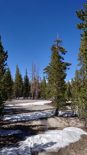 20250527_160346
